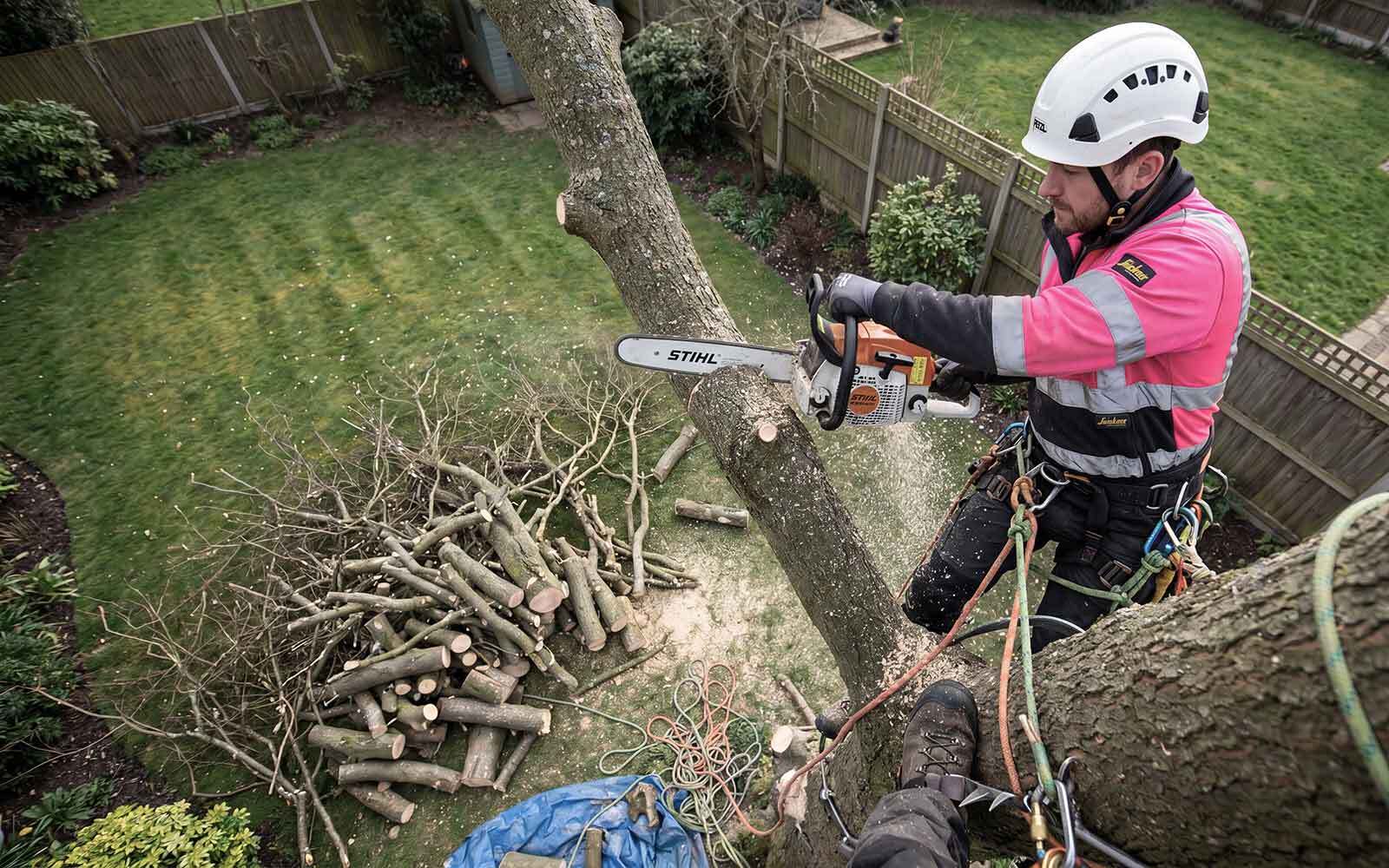 AG & Sons Tree Surgery Work