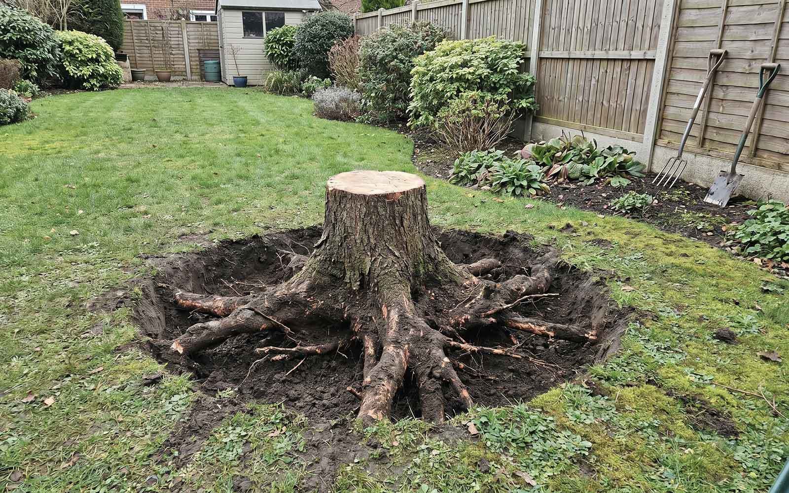 AG & Sons Tree Surgery Work