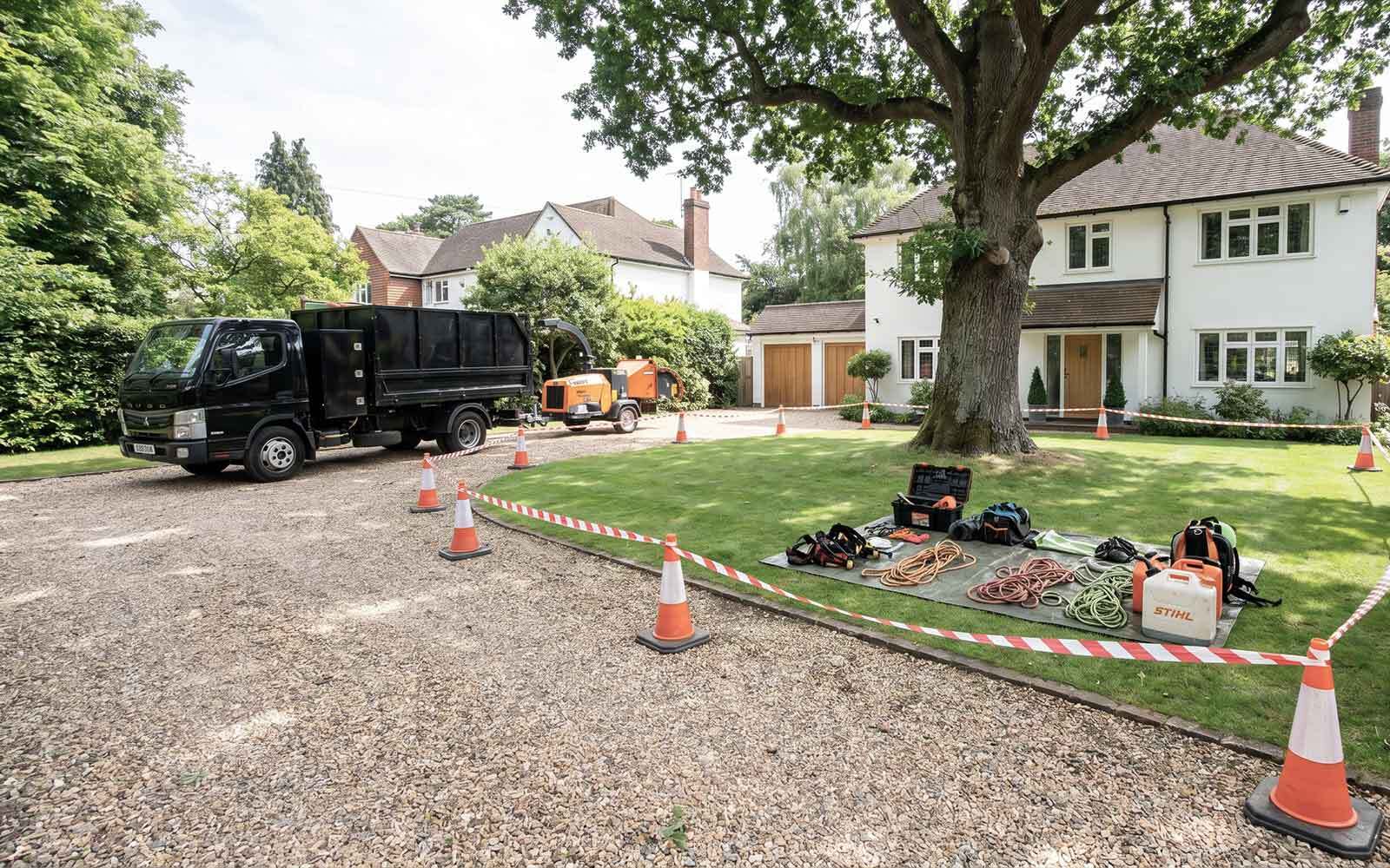 AG & Sons Tree Surgery Work